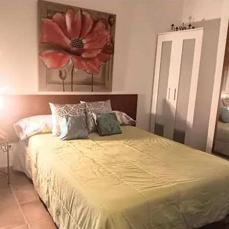 Little Chatty * كوستا كالما