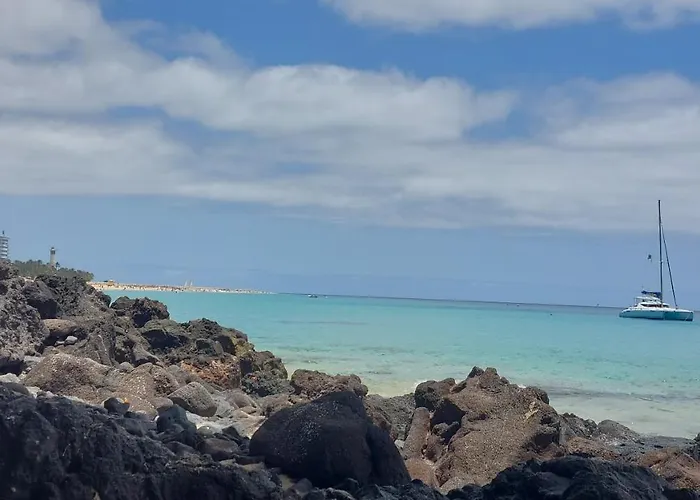 Little Chatty شقة *