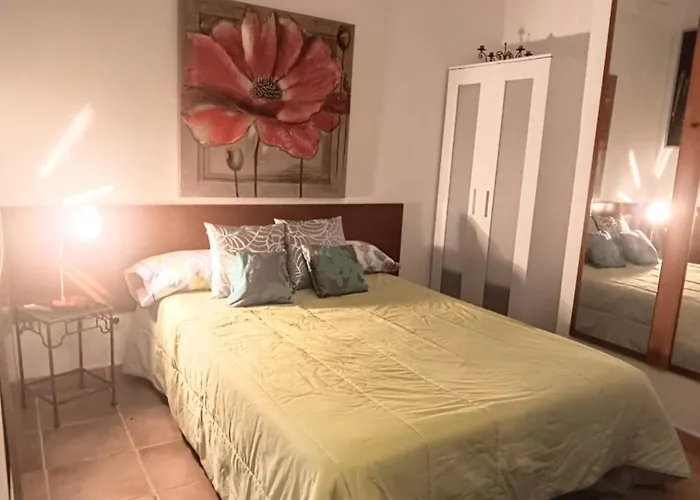 Little Chatty * كوستا كالما