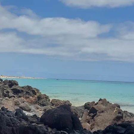 Little Chatty Lejlighed *